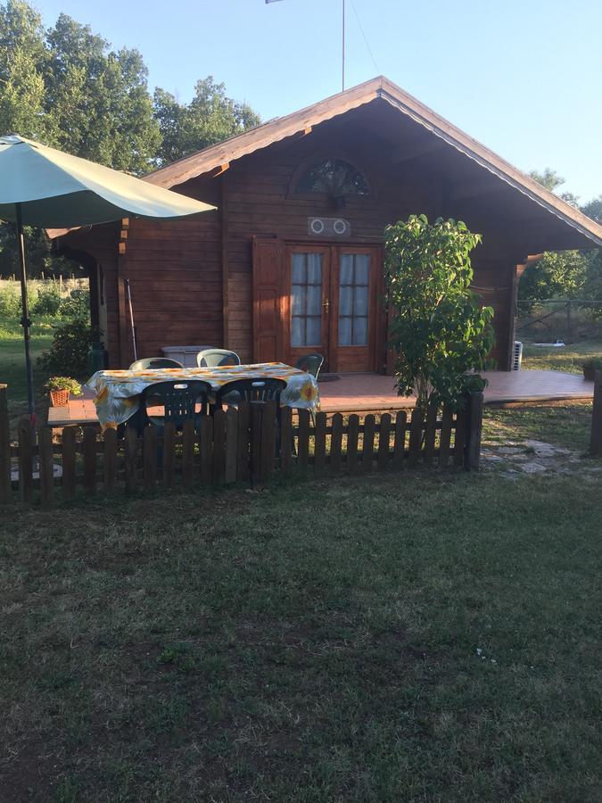 Agriturismo Casale Loreto Corchiano 외부 사진